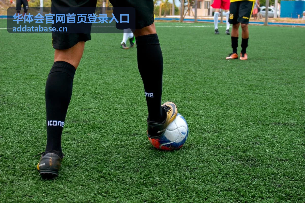 华体会官网首页登录入口登录按钮位置示意
