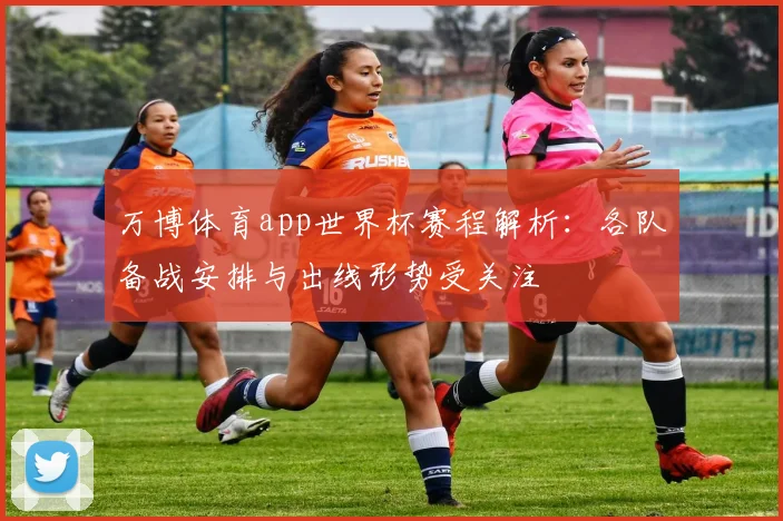 万博体育app世界杯赛程解析：各队备战安排与出线形势受关注