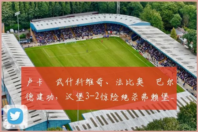 卢卡・武什科维奇、法比奥・巴尔德建功，汉堡3-2惊险绝杀弗赖堡_塔诺维奇_进球_法兰克福