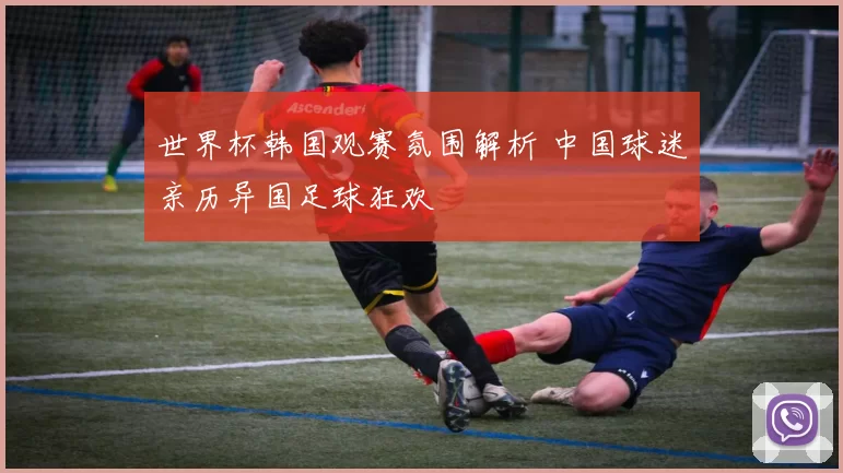 世界杯韩国观赛氛围解析 中国球迷亲历异国足球狂欢