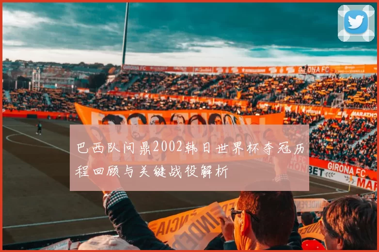 巴西队问鼎2002韩日世界杯夺冠历程回顾与关键战役解析
