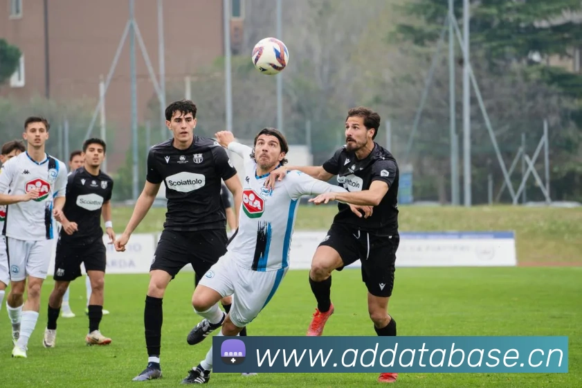 电竞数据